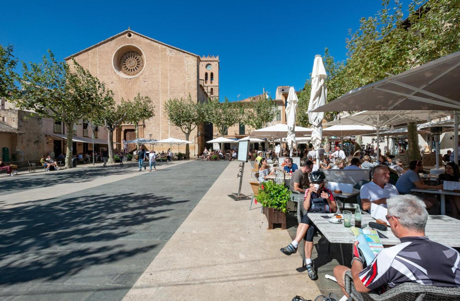 Gato By Vintage Travel * Puerto Pollensa